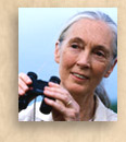 Jane Goodall